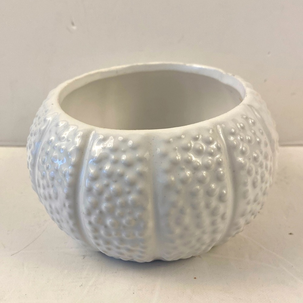 White ceramic sea urchin planter or dip bowl plant pot serve ware trinket dish